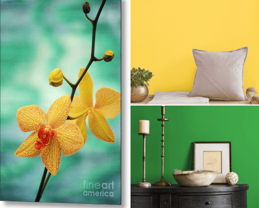 Bathroom Update Inspiration cover photo collage