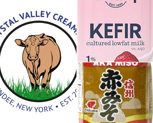 Fermented Foods cover photo collage