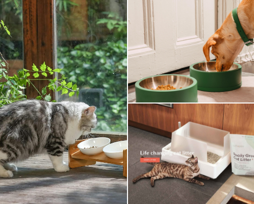 🐾 Clean & Aesthetic Pet Owner Essentials: Minimalist Gear for Modern Homes cover photo collage