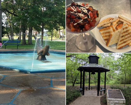 Tyler Things! cover photo collage