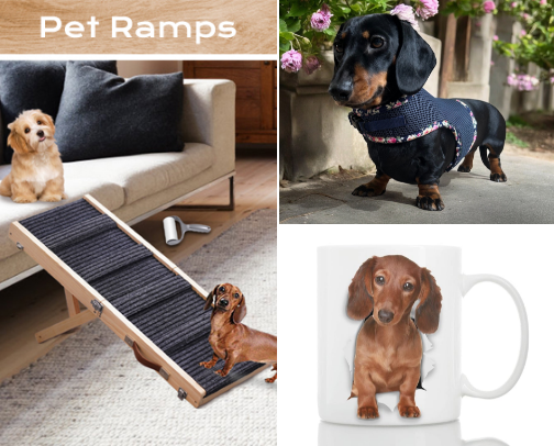 Gotta Dachsund you need these cover photo collage