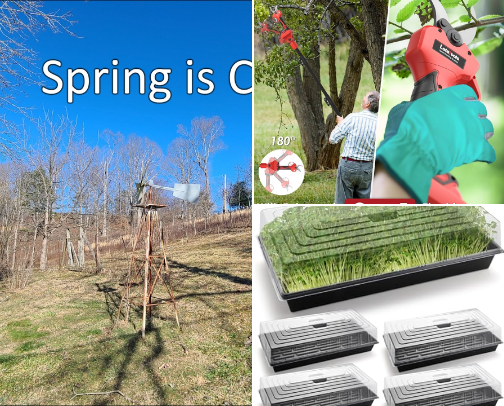 Spring is Coming Amazon Live cover photo collage