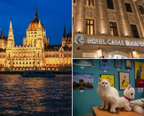My Taste of Budapest – From Brunch to Golden Hour🥂 cover photo collage