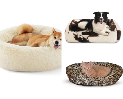 Boujee dog supplies cover photo collage