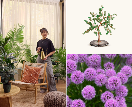 The Cozy Nest Co cover photo collage
