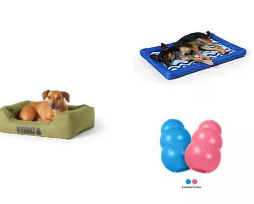 Stuff for your lovable pup 🐶🐕‍🦺🐾 cover photo collage