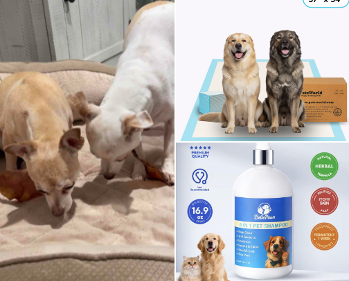 Furry best friends cover photo collage