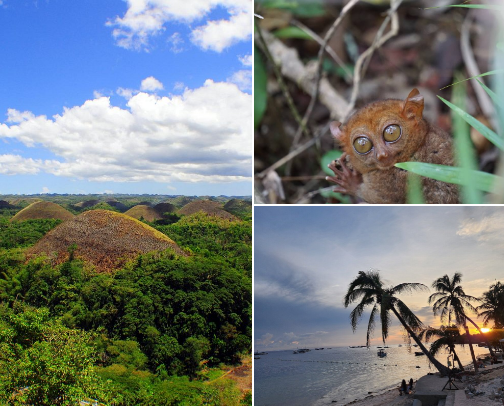 Top Bohol Experiences for First-Timers ✨ cover photo collage