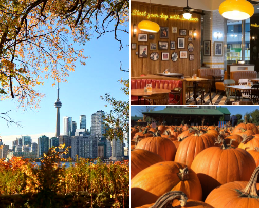 A fall day in Toronto 🍂 cover photo collage
