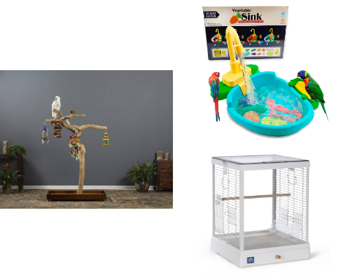 Items my bird loves cover photo collage