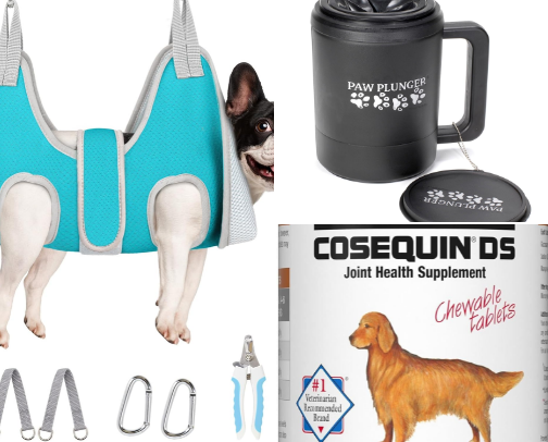 15 Dog care must haves cover photo collage