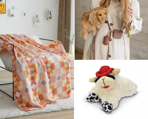 Foster dog favorites cover photo collage