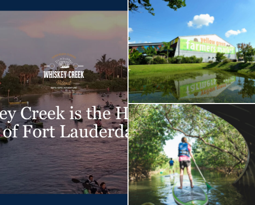 South Florida Local Recommendations cover photo collage