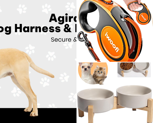 🐶 15 Must-Have Products Every Dog Owner Needs cover photo collage