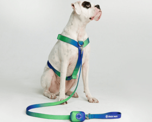 Pet clothing cover photo collage