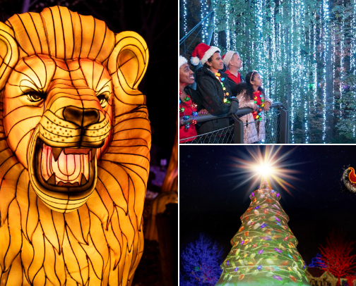 Fun Christmas Things To Do In And Around Atlanta cover photo collage