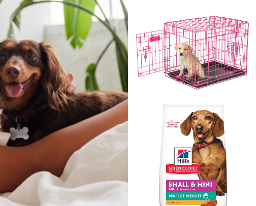 Dog Must Haves cover photo collage