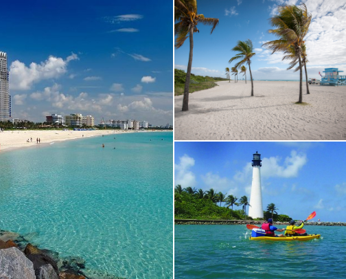 Fun things to do in Miami cover photo collage