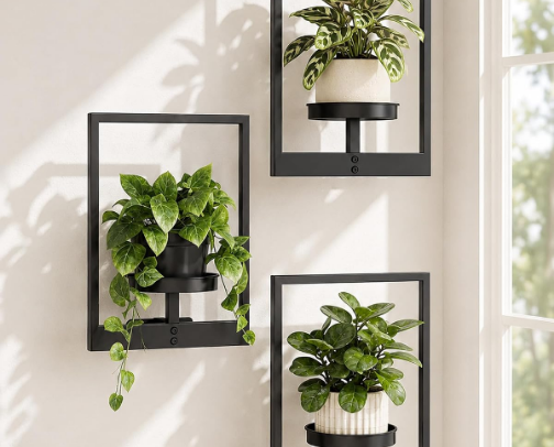 🌿 Greenery & Plant Wall Decor for a Fresh, Cozy Home cover photo collage