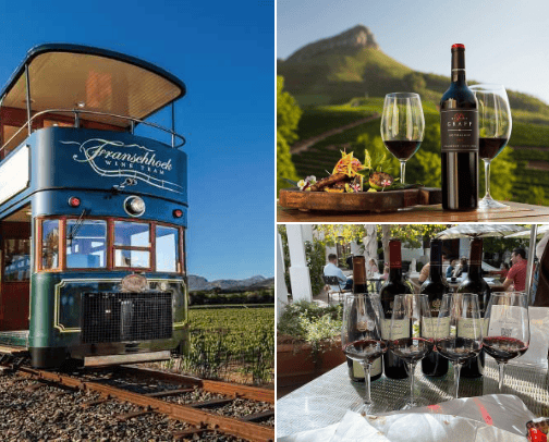 Things to do in South Africa - CPT / JHP/ DBN cover photo collage