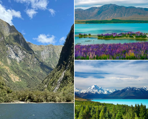 The Best of New Zealand's South Island cover photo collage