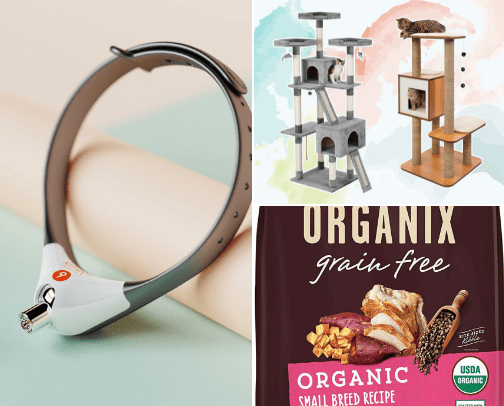 Muffins Favorite things! cover photo collage