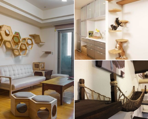 My Cat room - If I had the space, time and money! cover photo collage