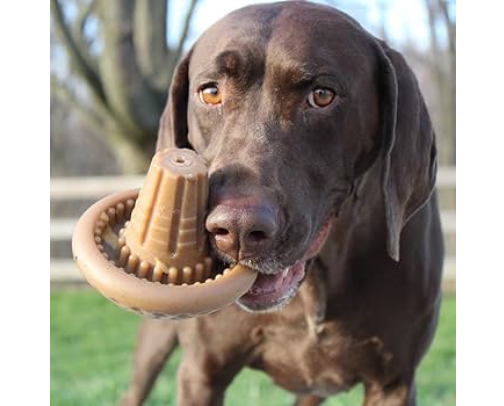 Toys & Treats: Must-Have Fetch & Chew Faves cover photo collage