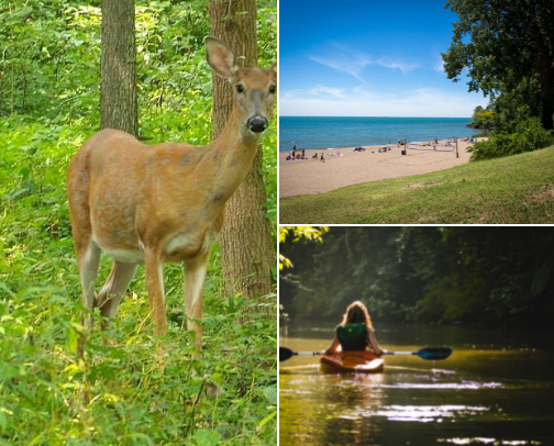 🚴‍♀️ Windsor-Essex Ontario Chill Adventures: My Favorite Day Trips Outdoors cover photo collage