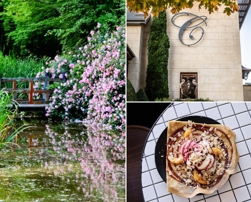 Places to visit in Bowral, NSW cover photo collage