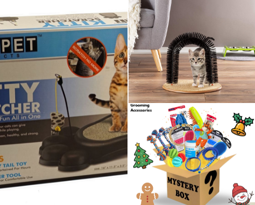 Your Cats will Love cover photo collage