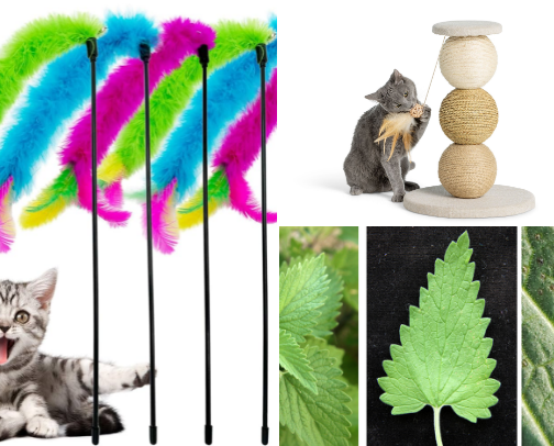 For your feline💕 cover photo collage