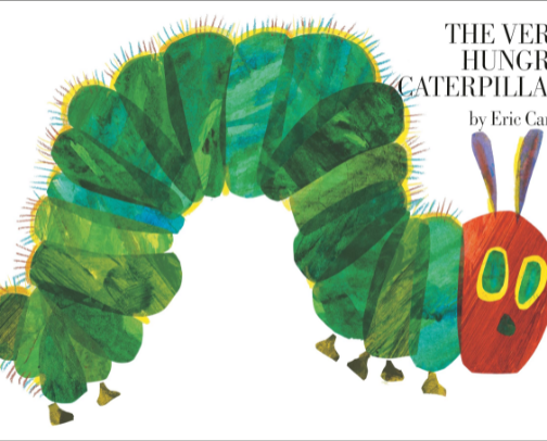 First Books for Toddlers cover photo collage