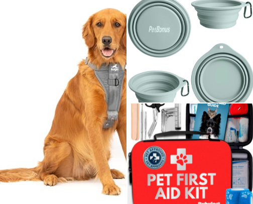 Dog Travel Essentials for Your Next Road Trip cover photo collage