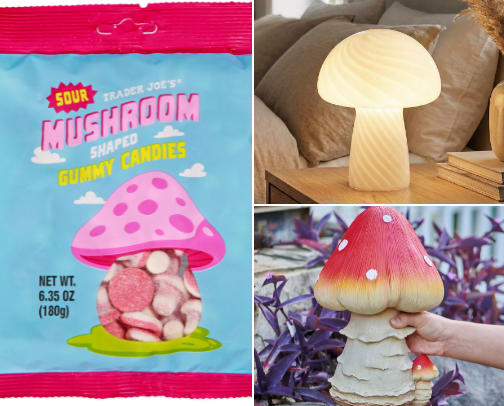 Mushroom EVERYTHING!! 🍄 cover photo collage