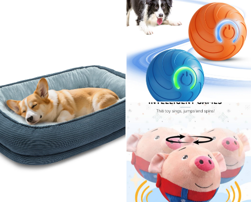 Barkley & Cocoa’s Favorites cover photo collage