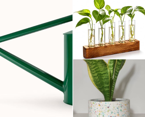 Gardening, Floral Vases & Plant Care cover photo collage