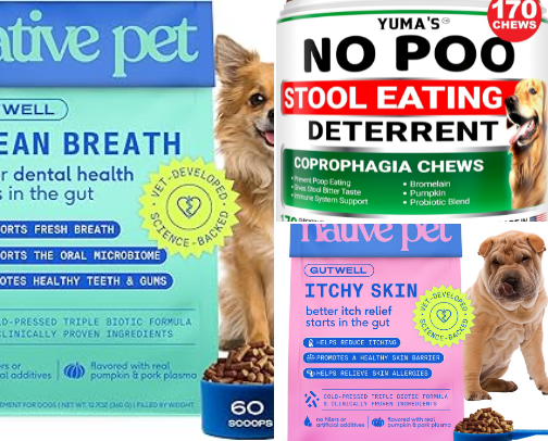 Healthy Dog cover photo collage