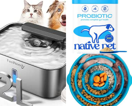 Dog Essentials That Archer Loves cover photo collage