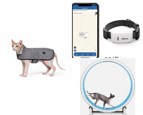 Sphynx Cat Must-Haves - To Keep Them Warm, Healthy and Happy cover photo collage