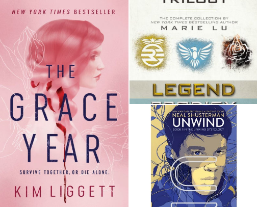 Books for the Hunger Games fans cover photo collage