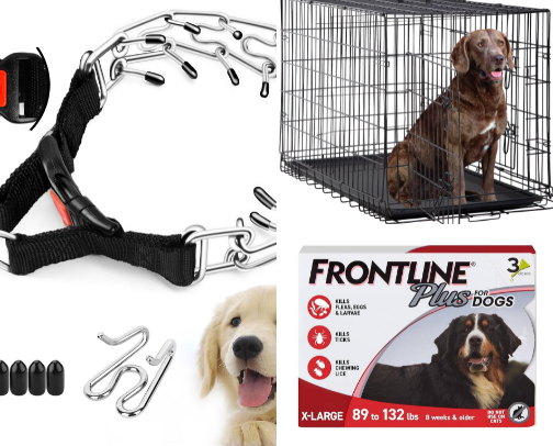 Big Dog Must Haves cover photo collage