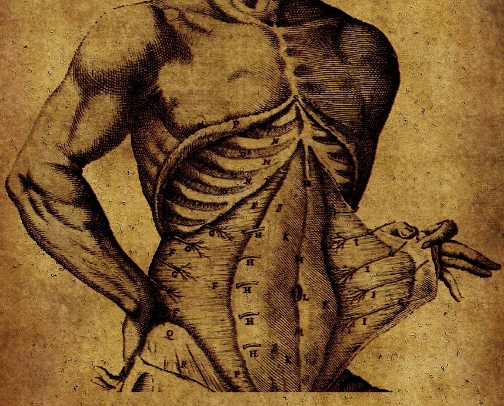 Work Out Gear That Works For You!! (Postpartum Friendly) cover photo collage