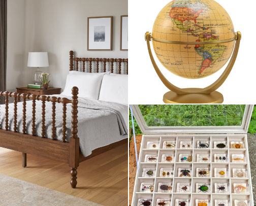 Tween Boy's Room {The Nature Lover} cover photo collage