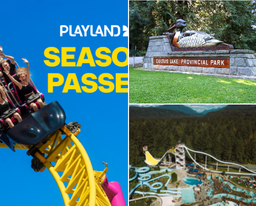Fun activities to do (Vancouver, BC) cover photo collage