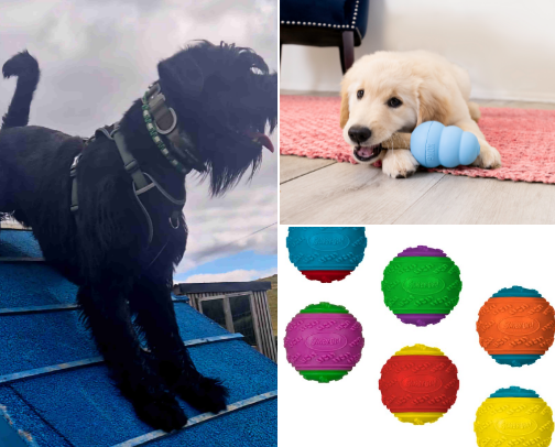 Dog Gear & Goodies We Actually Use (and Love!) cover photo collage