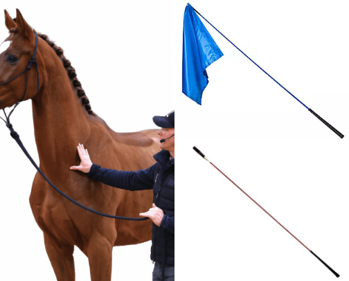 Training For the Young/Rescued Horses cover photo collage