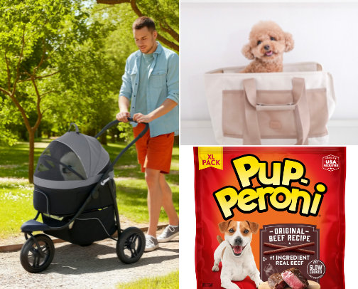 Puppy’s Day at the Park Recs cover photo collage