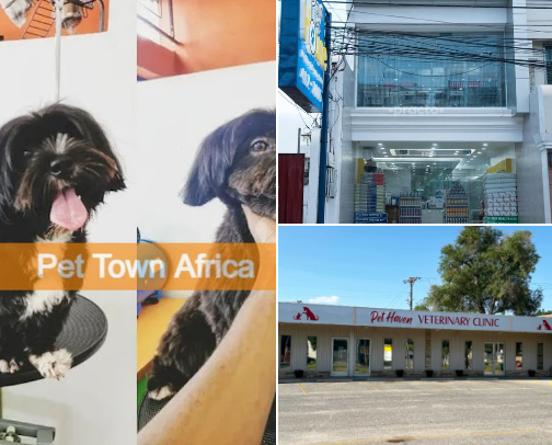 Lagos Pet Lovers’ Guide cover photo collage