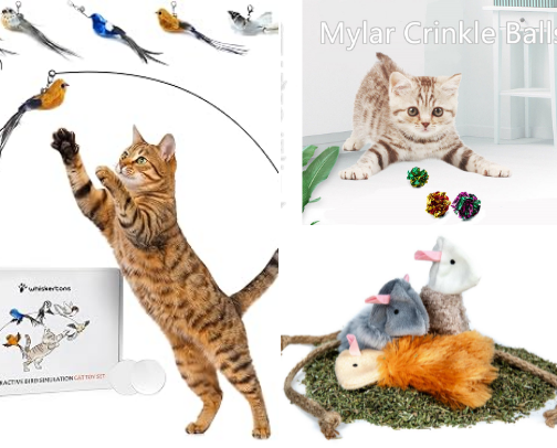Best Cat & Dog Toys to Keep Your Pets Happy, Active & Entertained cover photo collage